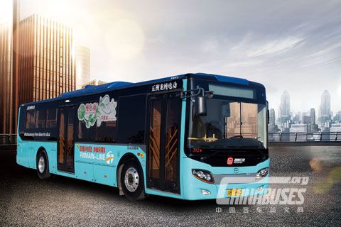 Wuzhoulong Bus FDG6113