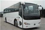 Bonluck Bus JXK6111CS53N Natural Gas Bus