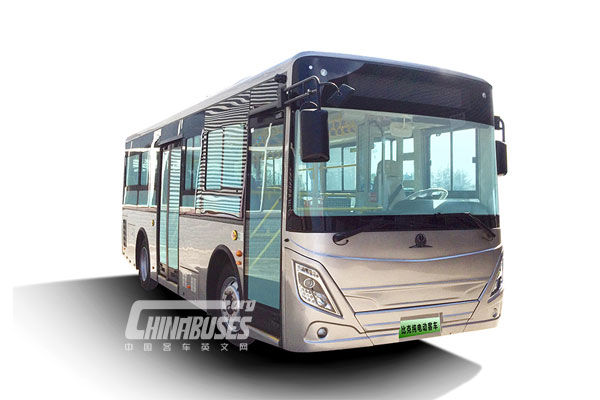 LEDA Bus LSK6850GEV1 City Bus
