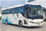 CRRC Bus TEG6110BEV11 Electric Bus