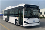 Skywell Bus NJL6106FCEV1 Hydrogen Fuel Cell City Bus