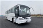 Guilin Daewoo Bus GDW6117HKF1 Diesel Engine Bus
